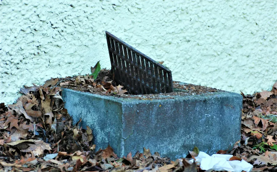 Rejilla de desagüe en un patio con hojas secas